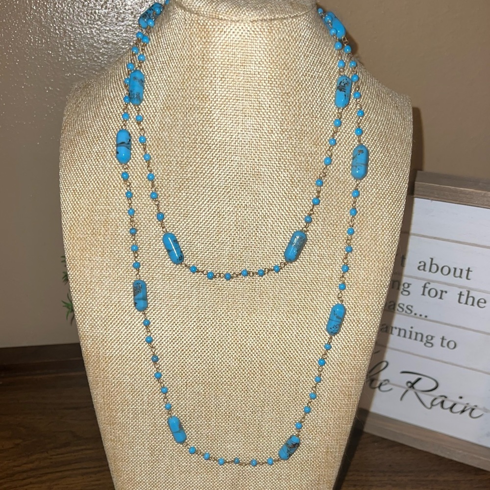 ❤️5/$25 New Long Turquoise Necklace